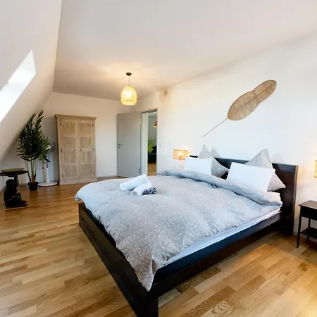Urban Rooftop Getaway Zurich
