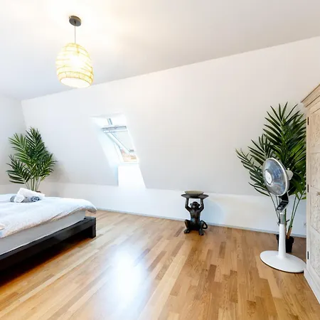 Urban Rooftop Getaway